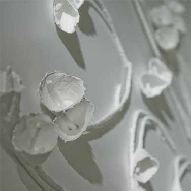 Anne Rush Arum A White Room
